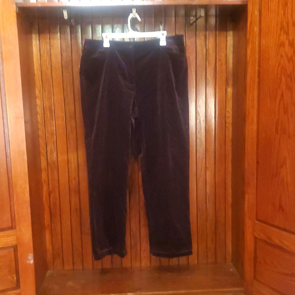 EILEEN FISHER SIZE 1X Women's BROWN Velvet Pants